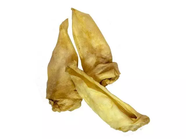 4332 Tikki Gedeoerer