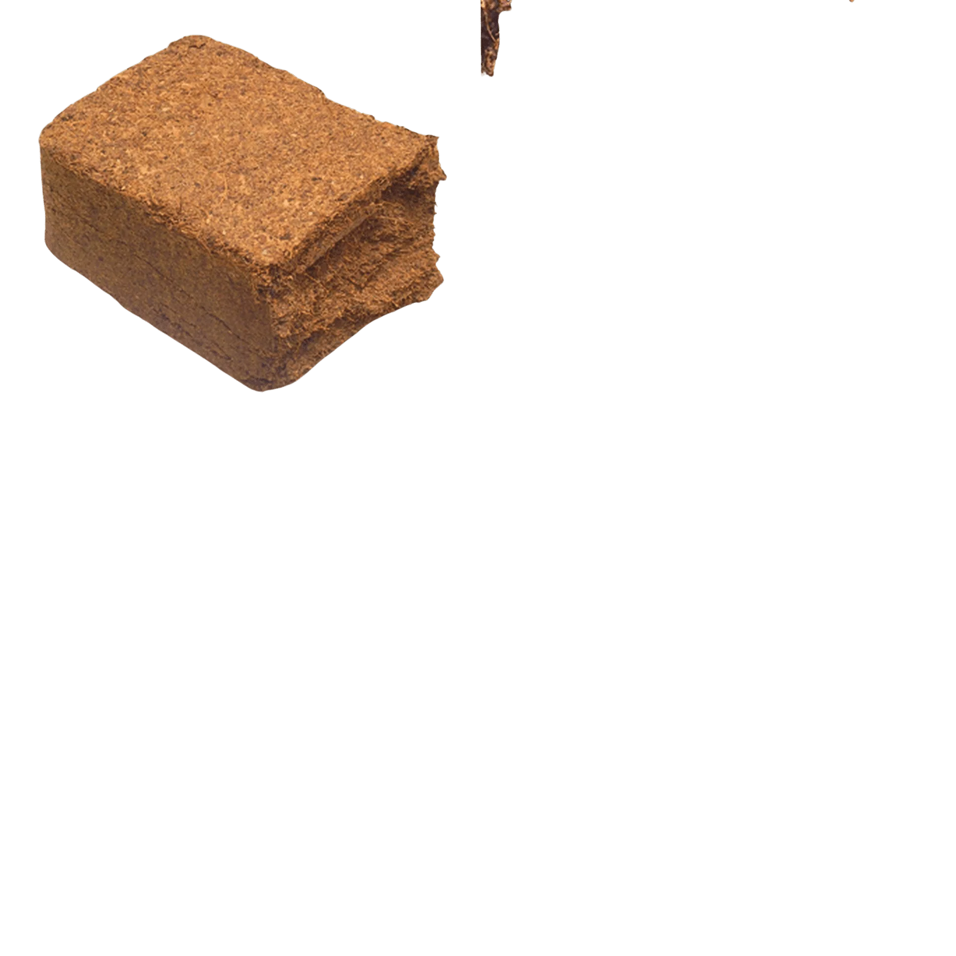 CHUMUS