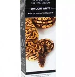 DAYLIGHT WHITE LED LIGHTS