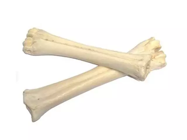 4205 tikki calciumben.jpg