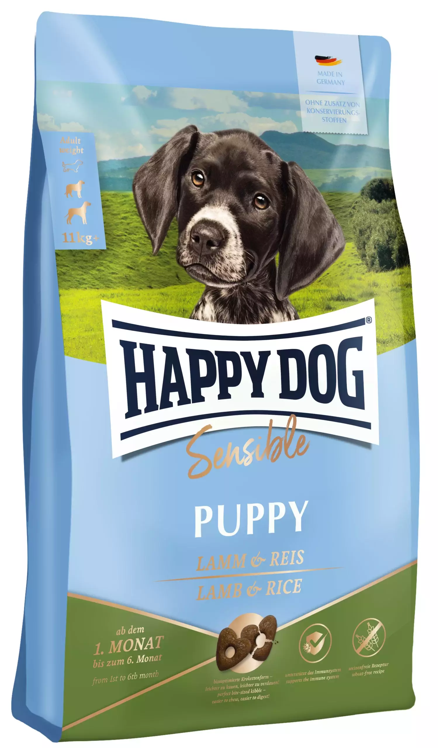 HD Young Puppy Lamm livo scaled 1