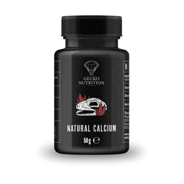 gecko nutrition natural calcium 50g