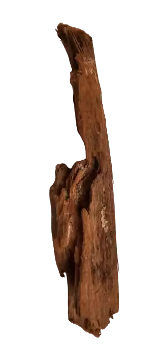 B1