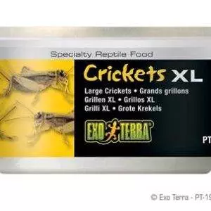 ExoTerra Fårekylling 34 g.