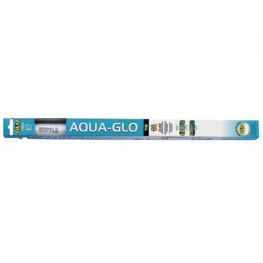 neonroer Aqua Glo lysroer