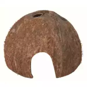 Kokosnød hule large